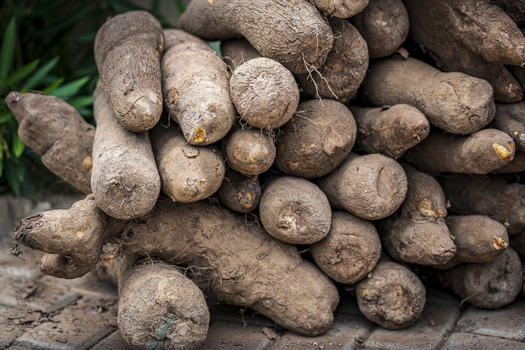 Yams-Wurzeln auf einem Markt in Ghana